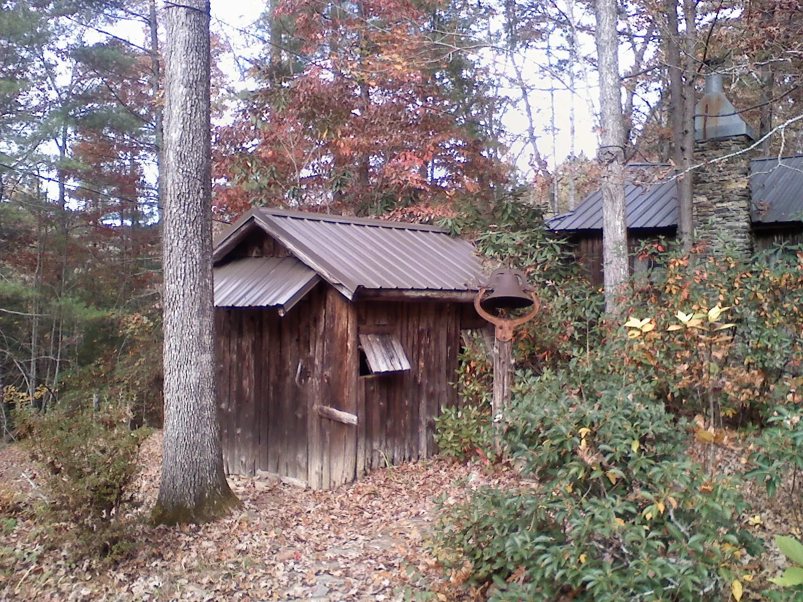 Small metal roof on a rough sawn shed in the woods in Bend